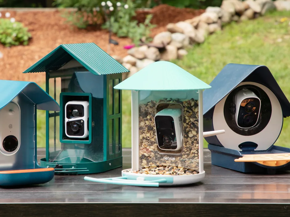 bird feeder with camera