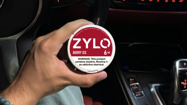 Zylo Nicotine Pouches