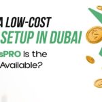 How to Do a Low-Cost Business Setup in Dubai: Why ExpressPRO Is the Best Option Available?