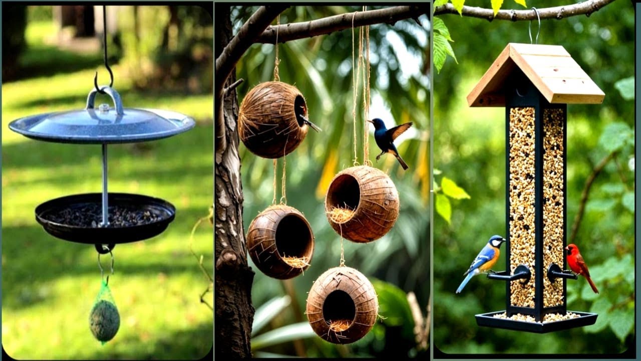 Transform Your Backyard into a Bird Paradise with These Top Bird Feeders